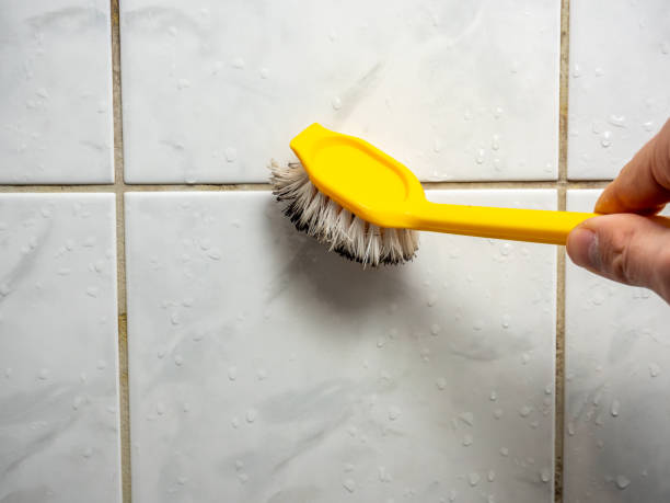 Best Localized Mold Remediation (e.g., coastal areas, humid climates) in Pensacola, FL