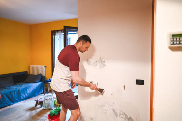 Best Post-Flood Mold Remediation in Pensacola, FL